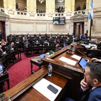 Imputabilidad a los 14 y Reforma Laboral: cómo votaron los senadores de Neuquén