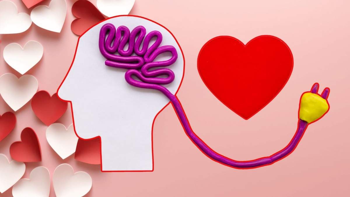 Investigaciones científicas explican qué ocurre en el cerebro y el corazón durante el enamoramiento, especialmente en el contexto del 14 de febrero.