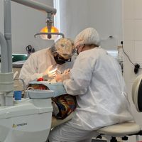Futuros odontólogos en acción: estudiantes de Río Negro cuidan la salud bucal de embarazadas