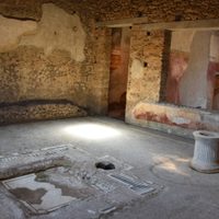 Pompeya abre al público una casa más y revela un esqueleto completo de caballo