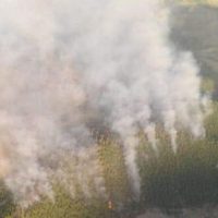 El calor y el viento descontrolaron por completo el incendio forestal en El Bolsón