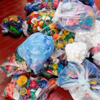 Estudiantes de Zapala recolectaron más de 65 mil tapitas de botellas plásticas