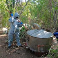"Efecto" Trump: Casi 200 narcolaboratorios han sido asegurados en dos semanas en Sinaloa