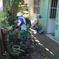 Registran más de cinco mil casos de dengue en Veracruz y desabasto de medicamentos oncológicos