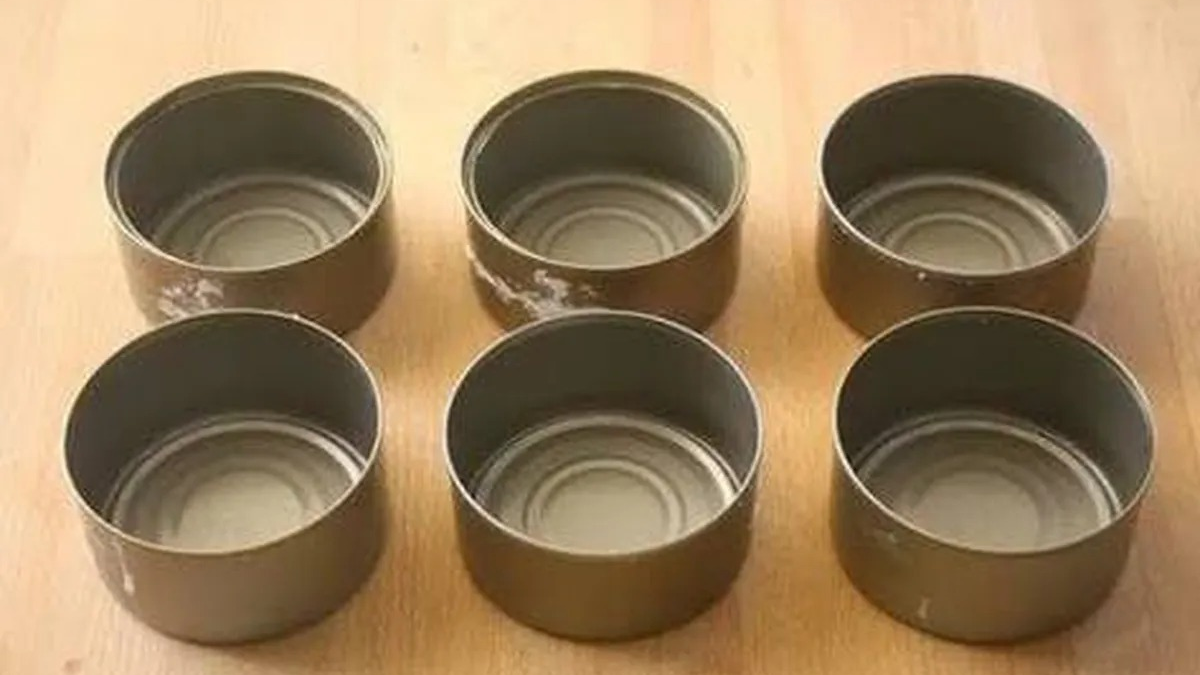 Latas de atún. Fuente: (Diario Uno)