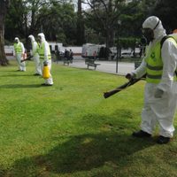 La Provincia de Buenos Aires confirmó casi 100 casos de dengue