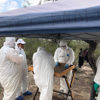 Desde mayo, 26 fosas clandestinas han sido halladas en SLP; las víctimas serían centroamericanos