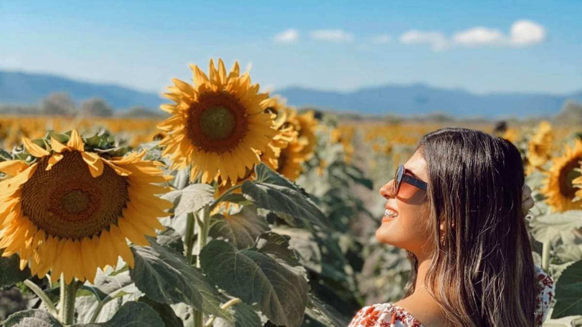Un ruta llena de colores, la del girasol. Fuente. (Instagram)