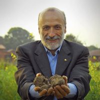 Las películas más relevantes sobre la alimentación y el planeta