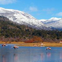 Qué dice el pronóstico: el estado del clima para hoy en Neuquén