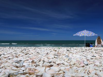 La playa caribeña de la Patagonia donde los lobos marinos dominan el paisaje