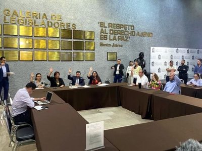 Aprueban en comisiones concesionar terreno para nuevo estadio de Tigres