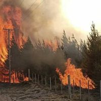 El Bolsón fuera de control: se declaró el estado de emergencia