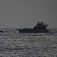 Israel deporta a "todos los activistas extranjeros" de la flotilla interceptada en mar Mediterráneo