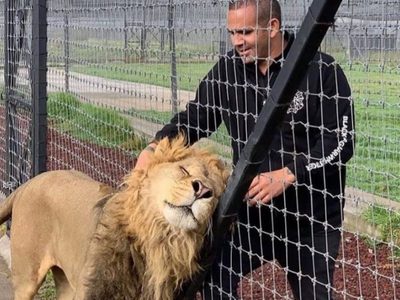Jueza niega descongelar cuentas de Black Jaguar-White Tiger