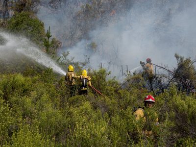 Incendios en Bariloche: brigadistas reclaman mejores condiciones laborales