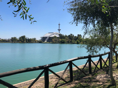 Sin salir de provincia de Buenos Aires: el lugar mágico que podés conocer en una escapada y sin gastar fortuna