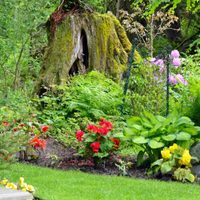 Las plantas tropicales perfectas para tener en tu casa en verano que no sufrirán cuando llegue el otoño