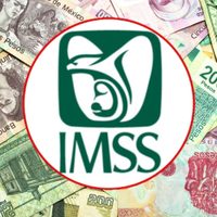 Pensión IMSS: cuándo cae el pago de febrero 2026
