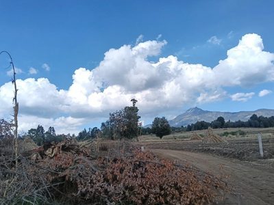 Proyecto “Suiza poblana” de Armenta, supeditado a la conservación del ecosistema: Semarnat