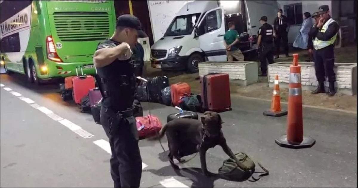 El hombre viajaba a Neuquén con 7 kilos de cocaína en su poder. Fuente: (Alerta Digital)
