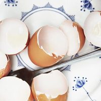 Conocé por qué no deberías tirar la cáscara de los huevos