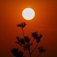 ¿Qué es el "domo de calor" y por qué causa temperaturas sofocantes en México?