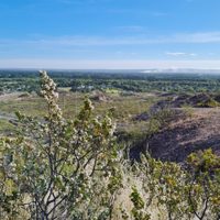 Helado e invernal: el clima para este 15 de junio en Neuquén