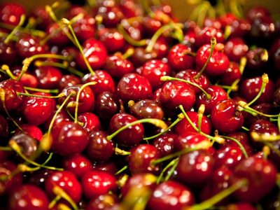 Las exportaciones de alimentos crecieron en un 9,2 % este año