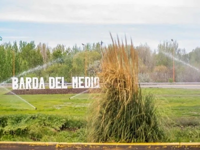Desconexión en la Patagonia: descubrí las mejores chacras y granjas en Contralmirante Cordero y Barda del Medio
