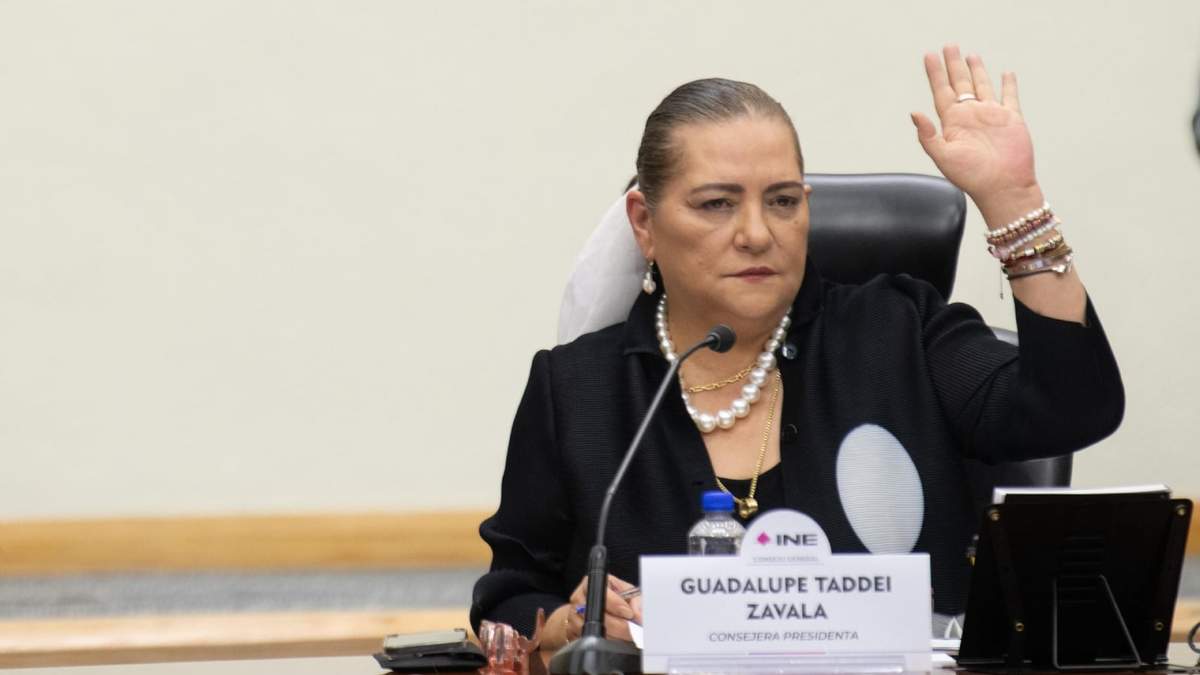 Guadalupe Taddei, en el Consejo General del INE