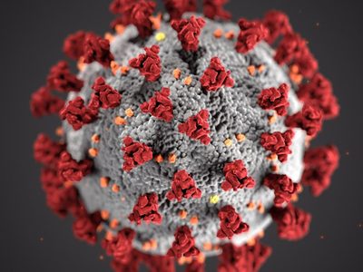 Pandemia por coronavirus: identificaron algunas posibles secuelas de la enfermedad