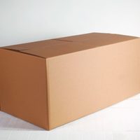 Si conseguís una caja de cartón grande, guardala: creá este organizador de zapatillas re canchero