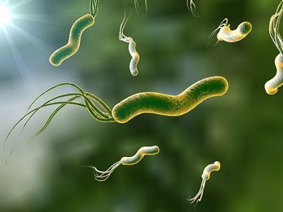 Alarma médica: la bacteria que puede vivir años sin dar síntomas y que impulsa una estrategia preventiva nacional