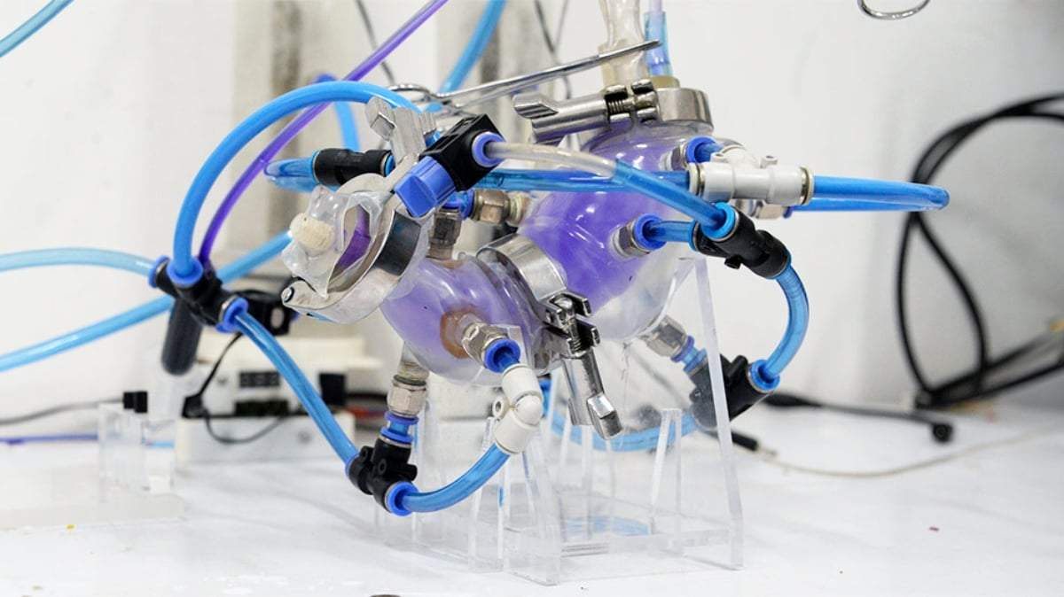 Estómago artificial creado por científicos de la UNAM