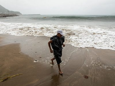 Alertan en Manzanillo por toxina paralizante en moluscos que puede ser transmitida a humanos