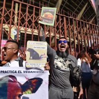 Plaza México reabre corridas de toros en medio de la inconformidad de activistas