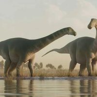 Descubren una nueva especie de dinosaurio saurópodo que vivió hace 93 millones de años