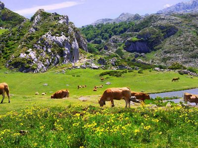 Esperan que, en el 2021, se dé un notable crecimiento del turismo rural
