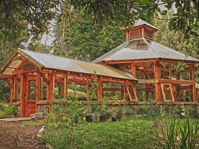 Original excursión para hacer en Neuquén: el Jardín Botánico de la isla Victoria