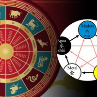 Horóscopo chino: cuál es el día de la suerte para cada uno de los signos