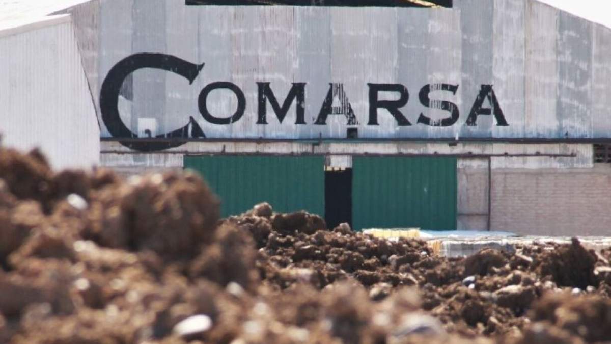 La Confederación Mapuche asegura que la empresa contamina el sector. Fuente: (Perfil)