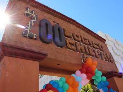 Zoológico de Chilpancingo cocinó cabras pigmeas para la cena de fin de año