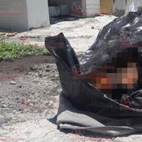 Hallan un cuerpo desmembrado en Michoacán