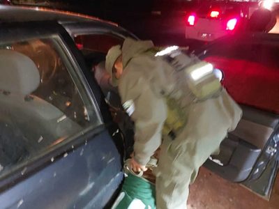 Toto, el perro de Gendarmería, detectó más de 1 kilo de droga