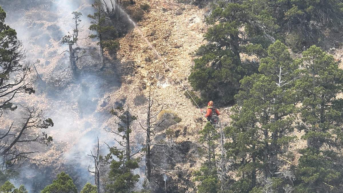 Brigadistas intentan contener el fuego activo en Villa Magdalena. Fuente: (Parque Nacional Lanín)