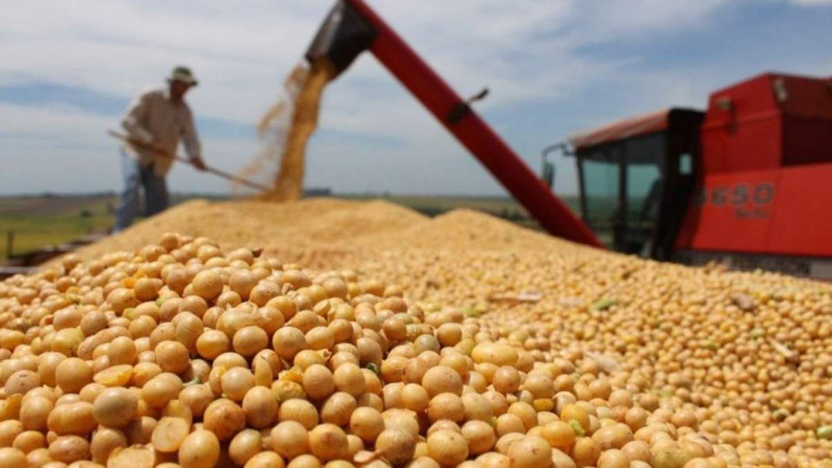 Los productores le habían reclamado al Gobierno la baja de retenciones. Fuente: (X)