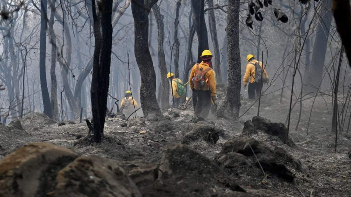 El incendio en la zona boscosa de Tepoztlán ya consumió más de 234 hectáreas