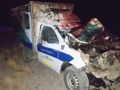 Una ambulancia chocó contra un caballo suelto en la Ruta 40