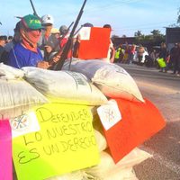 Surge grupo de autodefensa en Técpan; busca frenar al de Petatlán, Guerrero (Video)